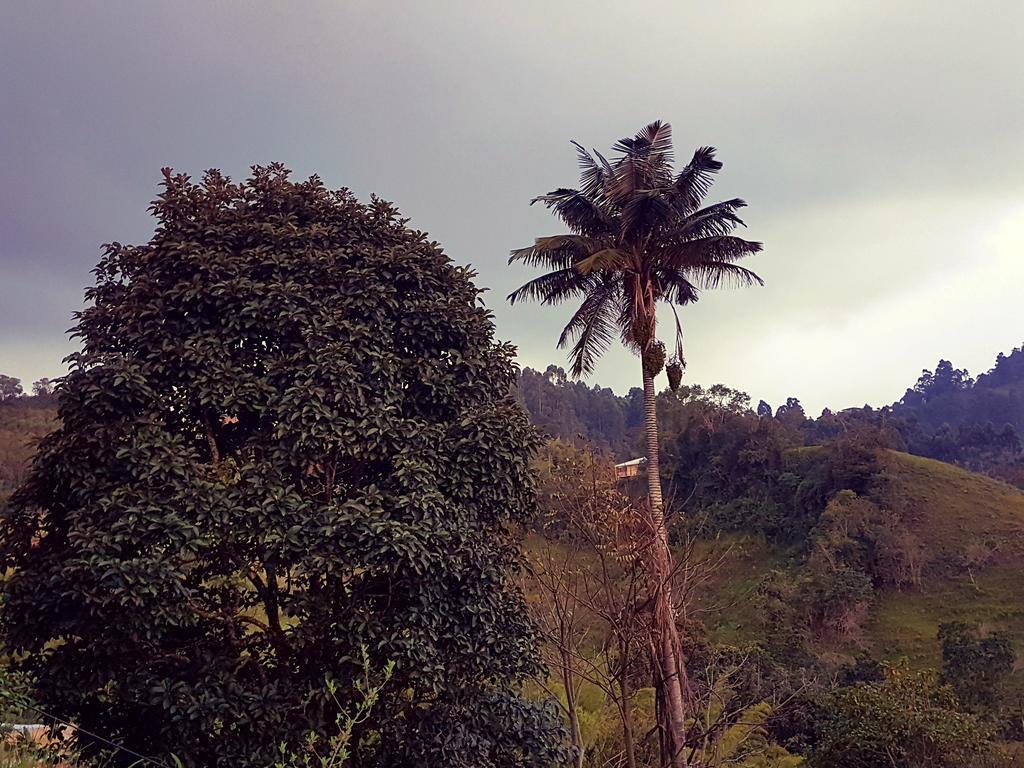 Mirador De Los Cedros サレント エクステリア 写真