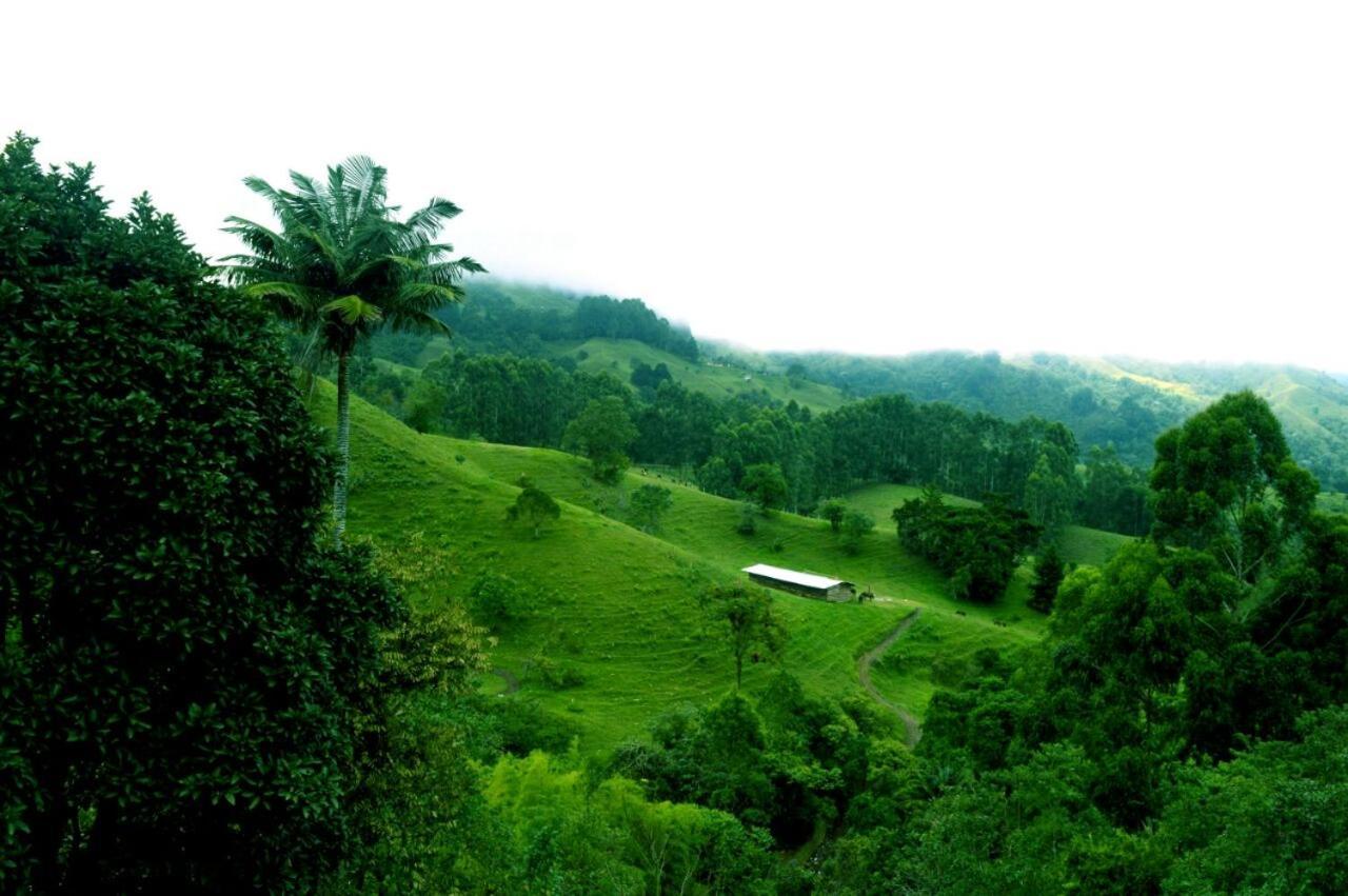 Mirador De Los Cedros サレント エクステリア 写真